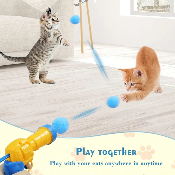 Interactive Cat Launcher